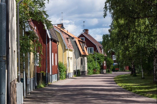 Barnhänder som kramar ett träd